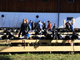 2019_ausstellung polling_098